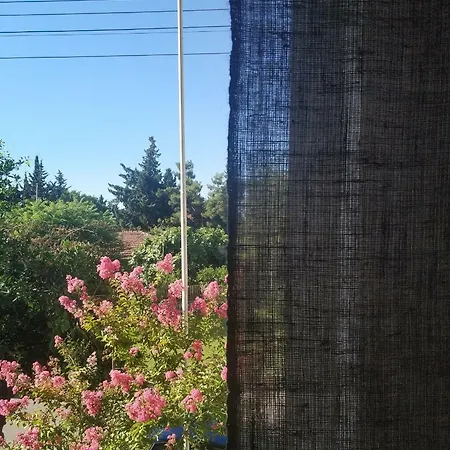 El Mundo Séjour chez l'habitant *